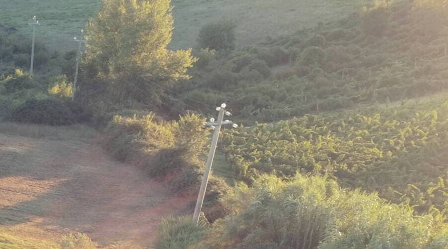Vue aérienne d'une colline cultivée en rangées, avec un chemin de terre, une haie et un poteau électrique en bois, dans la lumière chaude de fin d'après-midi