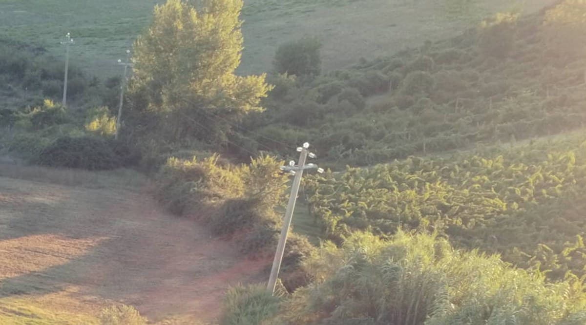 Aerial view of fields and cultivated rows on the hills near the property, warm late-afternoon light