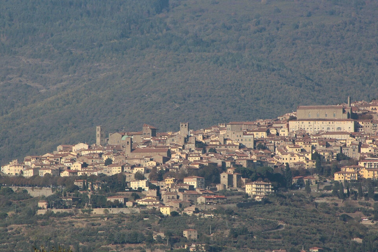 Cortona