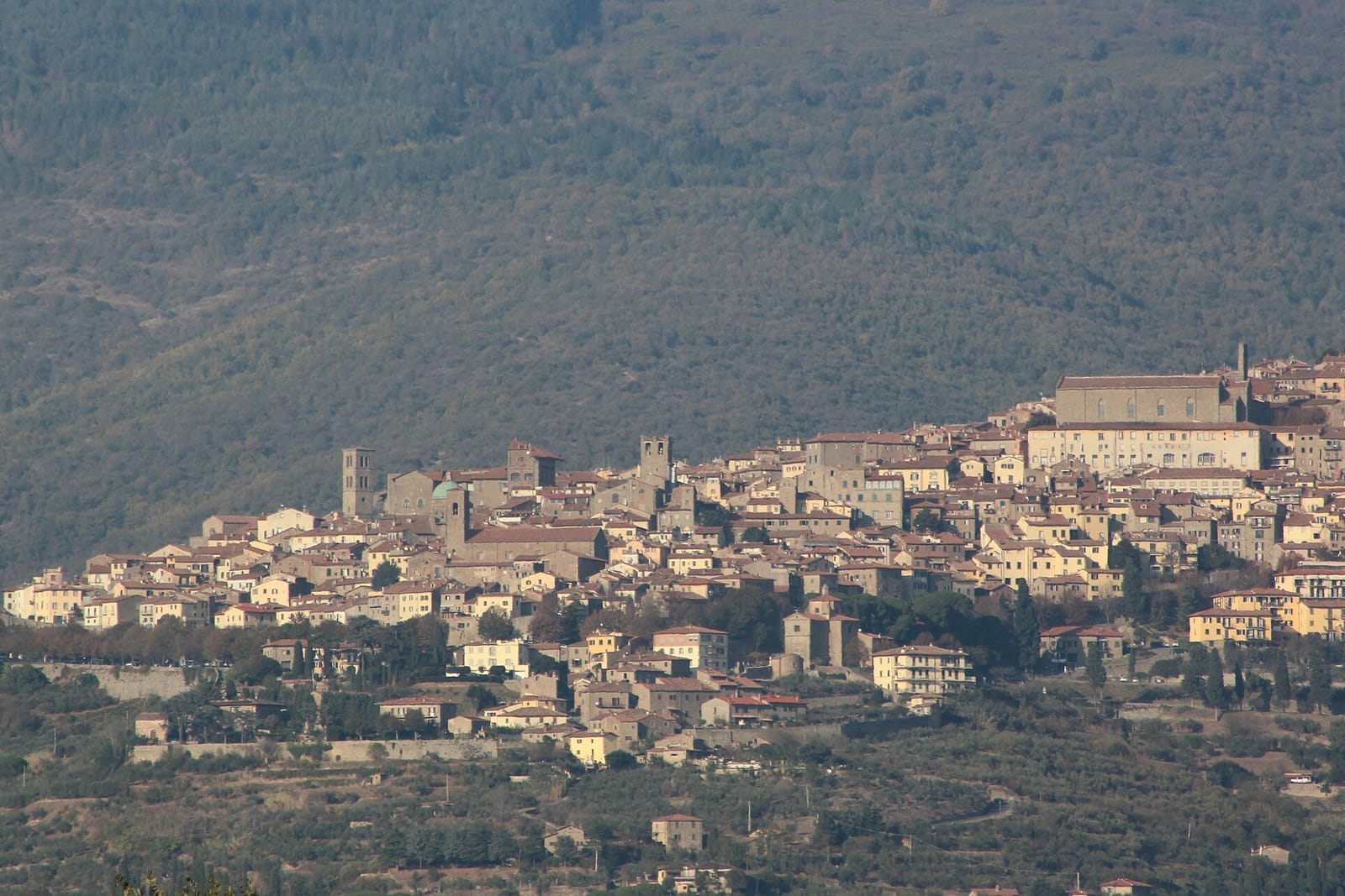 Cortona vista desde fuera de las murallas, con las casas subiendo por la ladera