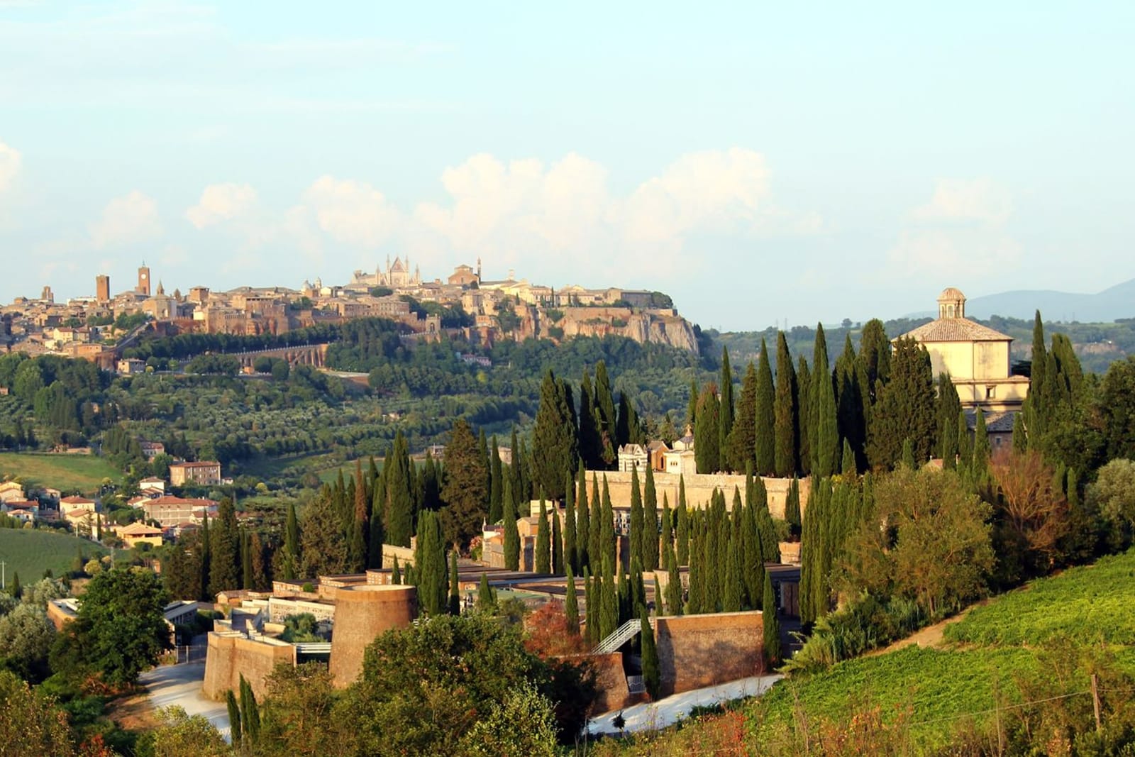 Orvieto auf seinem Tuffsteinfelsen vom Tal aus, Zypressen entlang der Straße