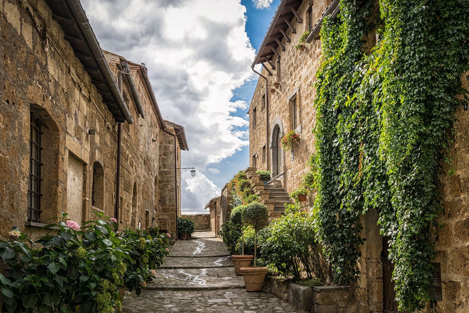 Una callejuela de Pienza con la hiedra cubriendo un muro y macetas en los alféizares
